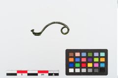 Foto von Bronzecertosafibel (NHMW-PRAE-024308)